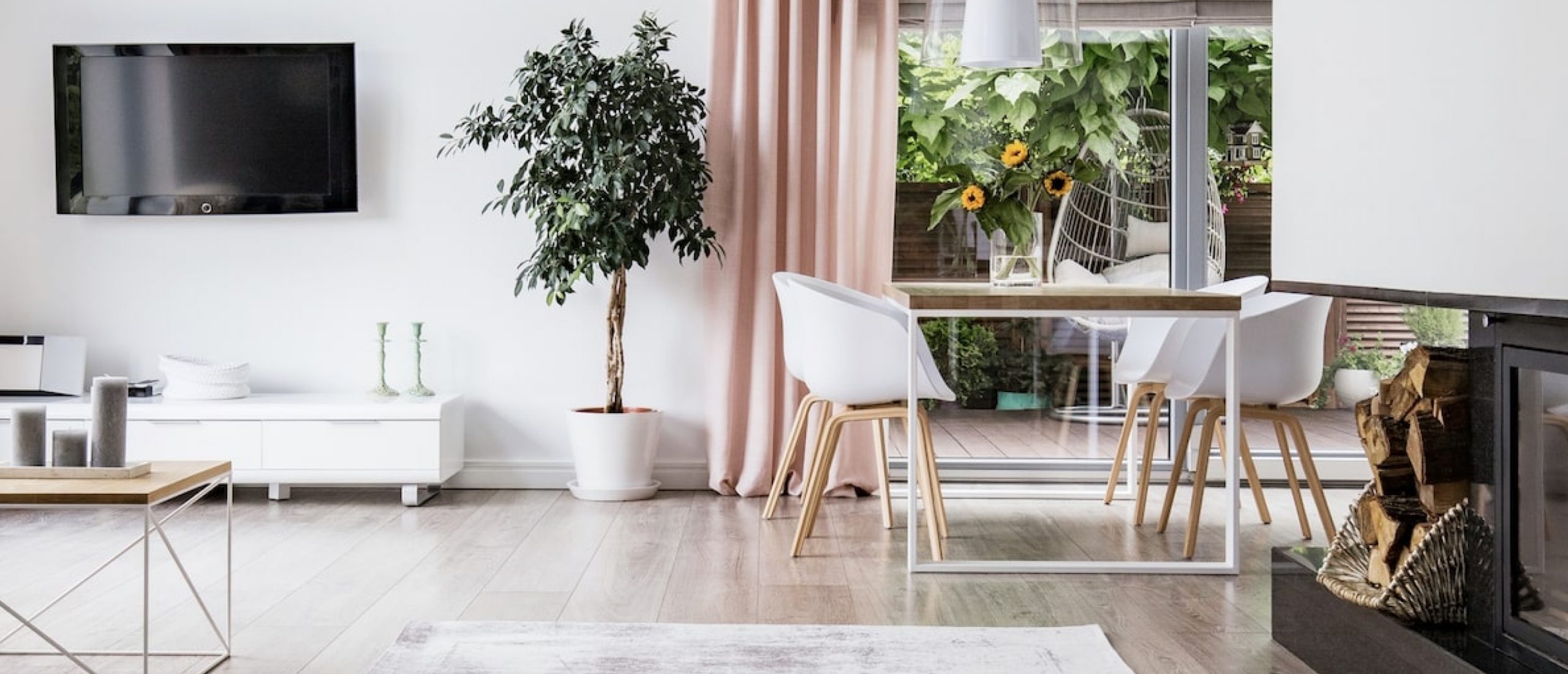 Living room with Plant, Chair and Table