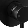 Carbon shower divert mixer