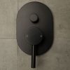 Carbon shower divert mixer