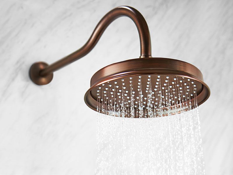 Moralsk uddannelse Dwell Snazzy Liberty Rain Shower with Wall Arm Oil Rubbed Bronze - Waterware