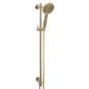 Scarab intergrated slide shower brushed gold