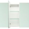 Mirror cabinet 900mm x120mm Glass Shelves