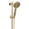 Scarab intergrated slide shower brushed gold