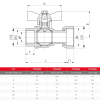 Airaga Gas Union Ball Valve 20f x 20f