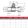 Airaga Gas Union Ball Valve 20m x 20f