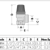 Caleffi 311 Series Safety Valve 15mm x 15mm 600kPa