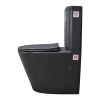Boston Back To Wall Toilet Suite Matte Black