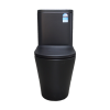 Boston Back To Wall Toilet Suite Matte Black