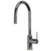 Maui Gooseneck Kitchen Mixer