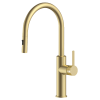Pioneer Forge Extractable Kitchen Mixer Brushed Gold