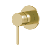 Pioneer Forge Shower/Bath Mixer Brushed Gold
